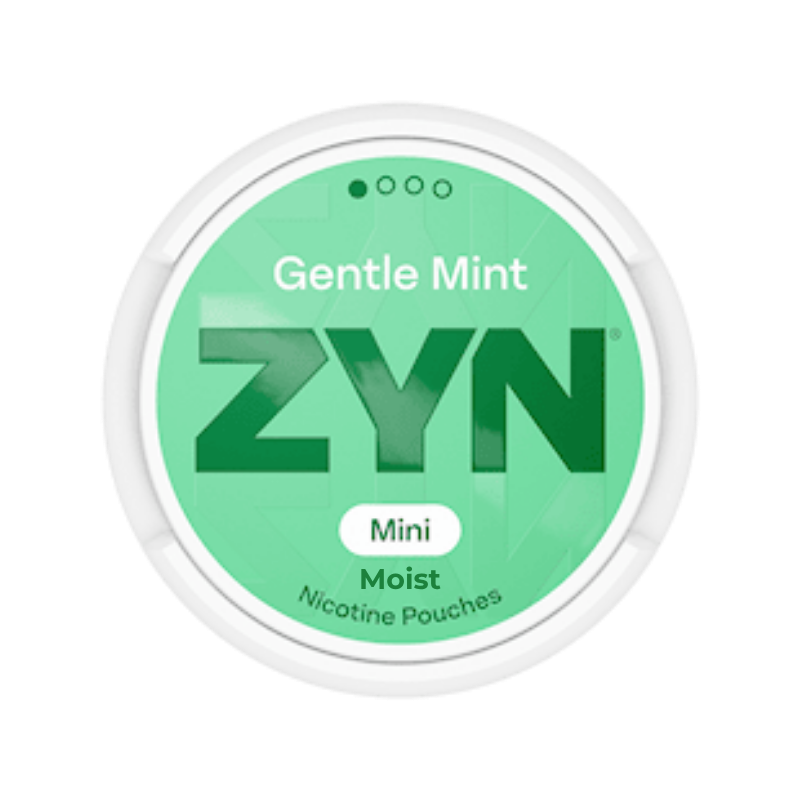 ZYN - Mini Gentle Mint Moist 6mg